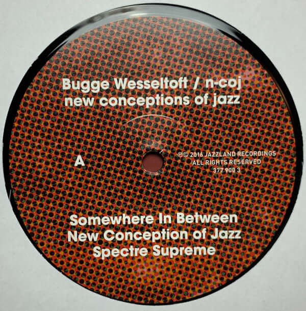 Bugge Wesseltoft ~ New Conception Of Jazz (Vinyl) - Djungel & Jazz