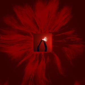 Floating Points & San Francisco Ballet Orchestra ~ Mere Mortals (Vinyl) - Djungel & Jazz