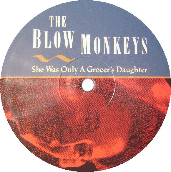 The Blow Monkeys ~ She Was Only A Grocer's Daughter (Vinyl) - Djungel & Jazz