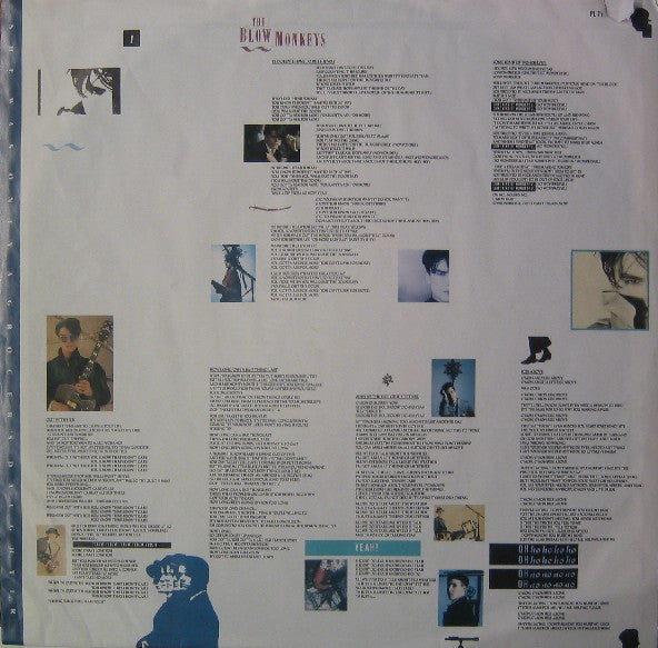 The Blow Monkeys ~ She Was Only A Grocer's Daughter (Vinyl) - Djungel & Jazz