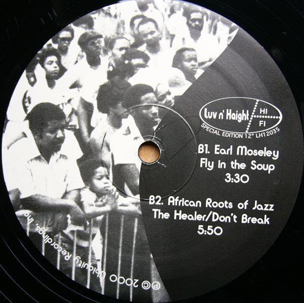 Various : Luv N' Haight Special Edition 12" (12", Comp)