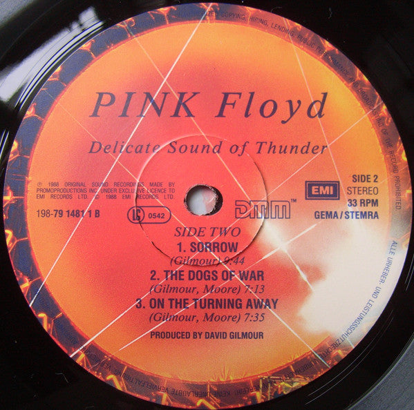 Pink Floyd ~ Delicate Sound Of Thunder (Vinyl) - Djungel & Jazz