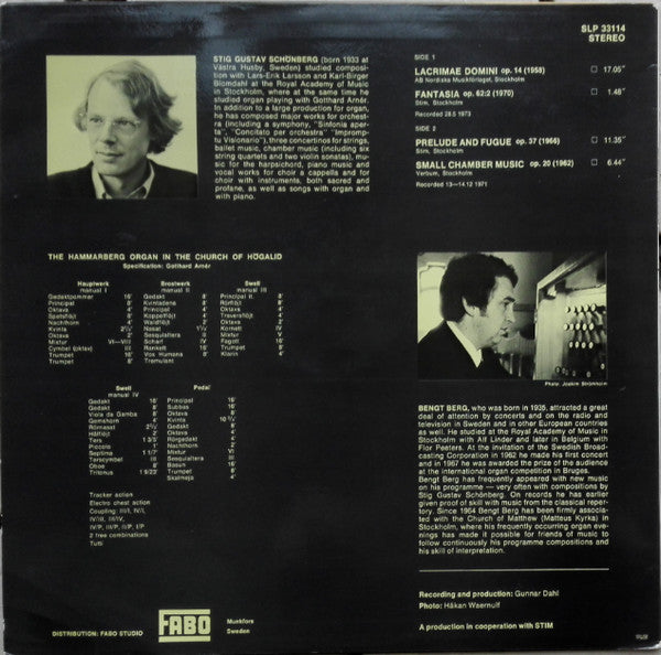 Stig Gustav Schönberg ~ Lacrimae Domini (Vinyl) - Djungel & Jazz