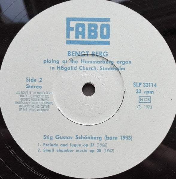 Stig Gustav Schönberg ~ Lacrimae Domini (Vinyl) - Djungel & Jazz