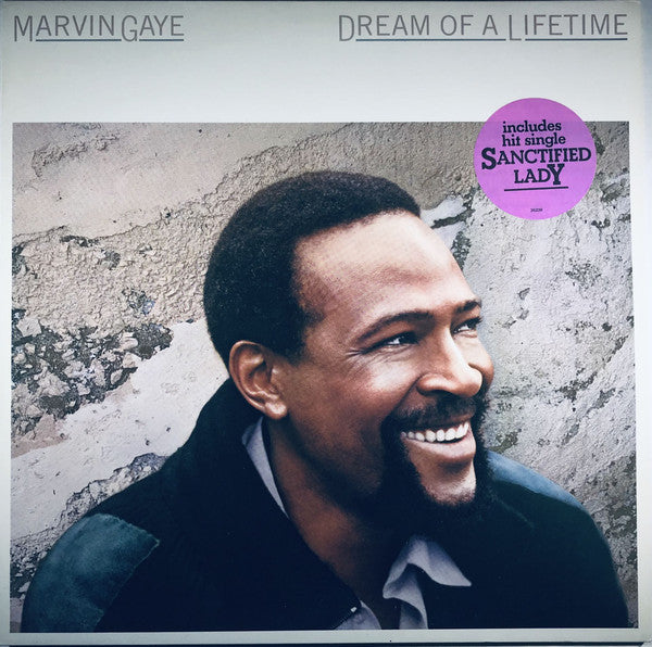 Marvin Gaye ~ Dream Of A Lifetime (Vinyl) - Djungel & Jazz