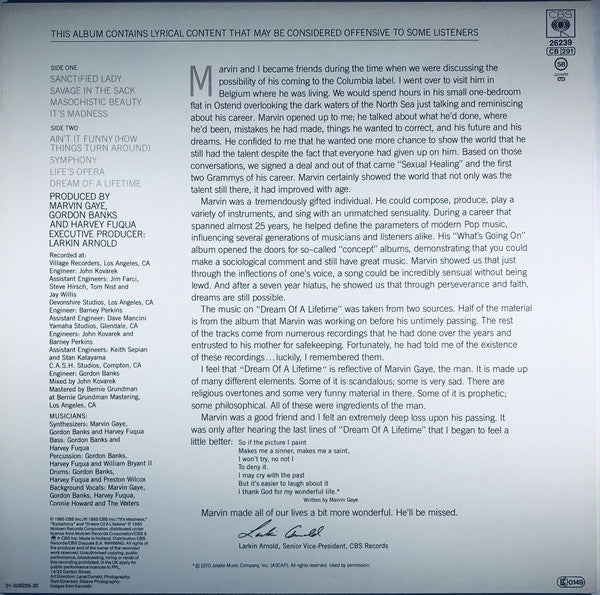 Marvin Gaye ~ Dream Of A Lifetime (Vinyl) - Djungel & Jazz