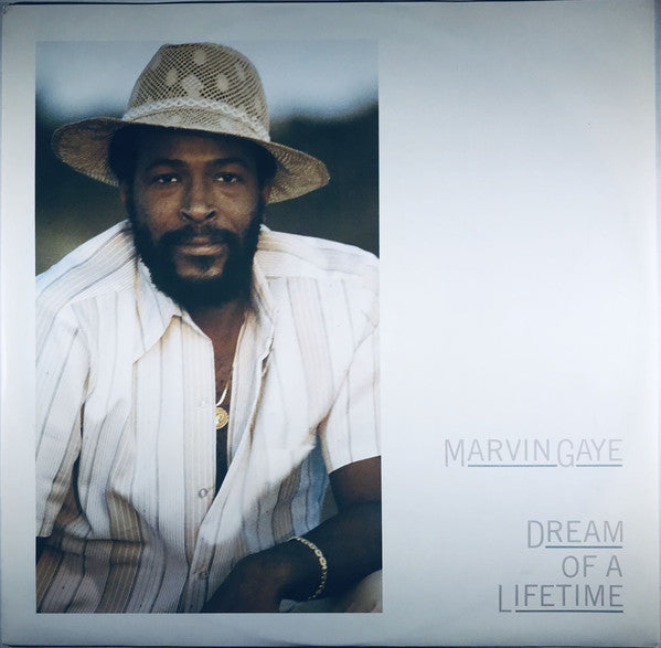 Marvin Gaye ~ Dream Of A Lifetime (Vinyl) - Djungel & Jazz