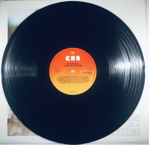 Marvin Gaye ~ Dream Of A Lifetime (Vinyl) - Djungel & Jazz