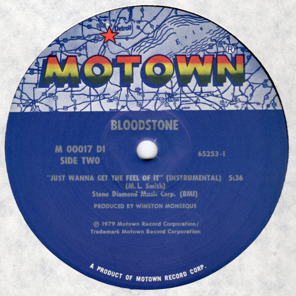 Bloodstone ~ Just Wanna Get The Feel Of It (Vinyl) - Djungel & Jazz