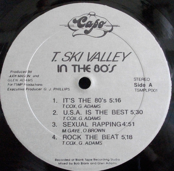 T-Ski Valley : In The 80's (LP, Album)