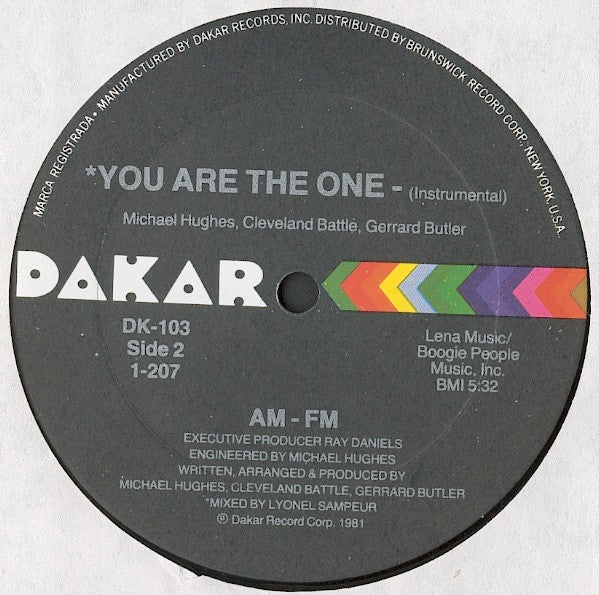 AM - FM* : You Are The One (12")