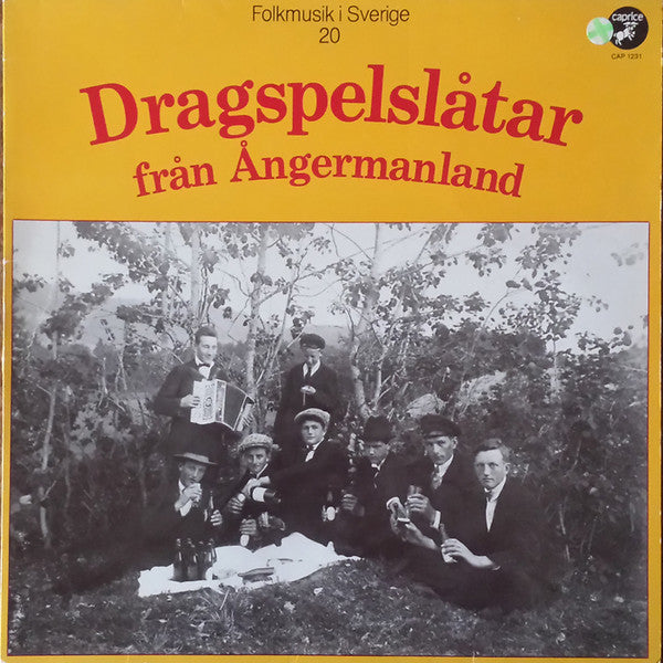 Various ~ Dragspelslåtar Från Ångermanland (Vinyl) - Djungel & Jazz