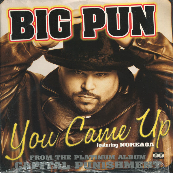 Big Punisher ~ You Came Up (Vinyl) - Djungel & Jazz