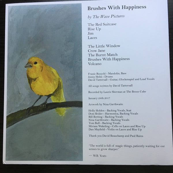 The Wave Pictures : Brushes With Happiness (LP, Album)
