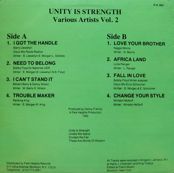 Various : Unity Is Strength Vol. 2 (LP, Comp)