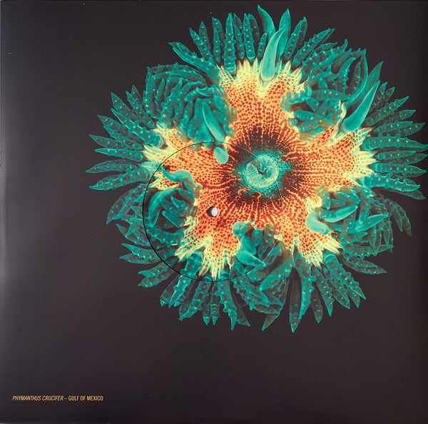 Animal Collective : Tangerine Reef (2xLP, Album)
