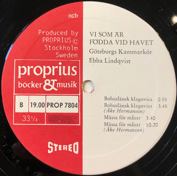 Göteborgs Kammarkör, Ebba Lindqvist ~ Vi Som är Födda Vid Havet (Vinyl) - Djungel & Jazz