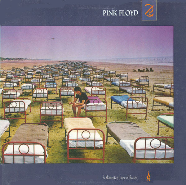 Pink Floyd ~ A Momentary Lapse Of Reason (Vinyl) - Djungel & Jazz