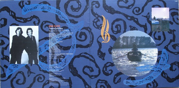 Pink Floyd ~ A Momentary Lapse Of Reason (Vinyl) - Djungel & Jazz