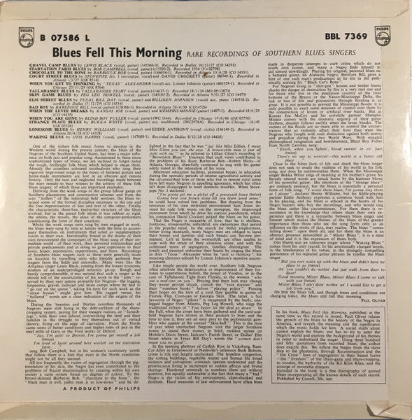 Various ~ Blues Fell This Morning (Rare Recordings Of Southern Blues Singers) (Vinyl) - Djungel & Jazz