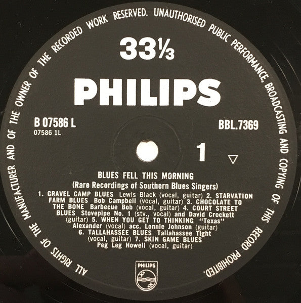 Various ~ Blues Fell This Morning (Rare Recordings Of Southern Blues Singers) (Vinyl) - Djungel & Jazz