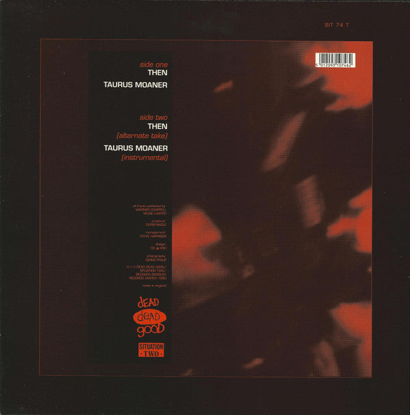 The Charlatans ~ Then (Vinyl) - Djungel & Jazz