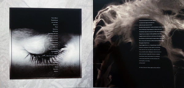 This Mortal Coil ~ Filigree & Shadow (Vinyl) - Djungel & Jazz