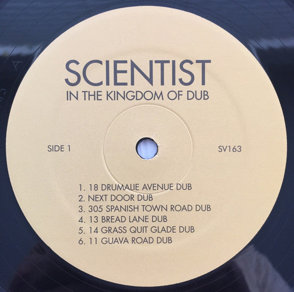 Scientist ~ In The Kingdom Of Dub (Vinyl) - Djungel & Jazz