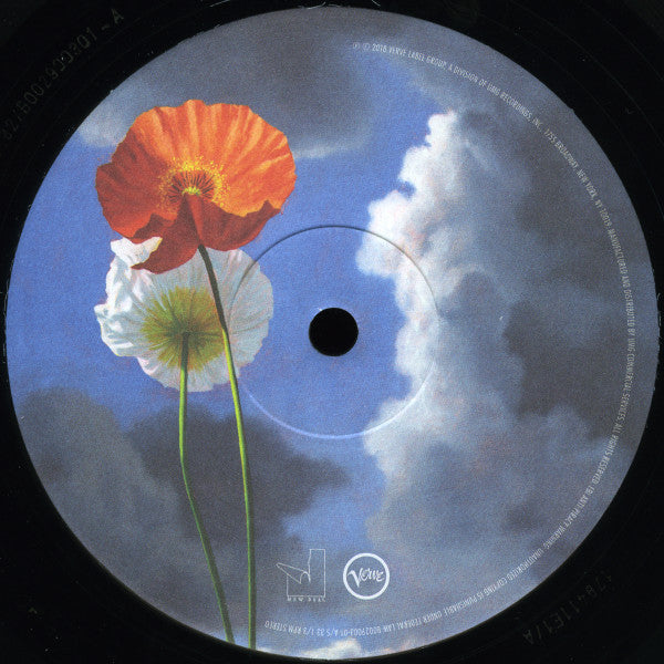 Blake Mills ~ Look (Vinyl) - Djungel & Jazz