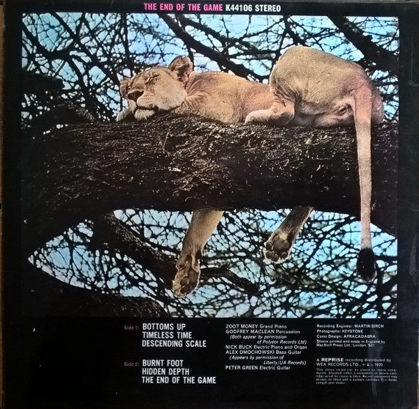 Peter Green  ~ The End Of The Game (Vinyl) - Djungel & Jazz