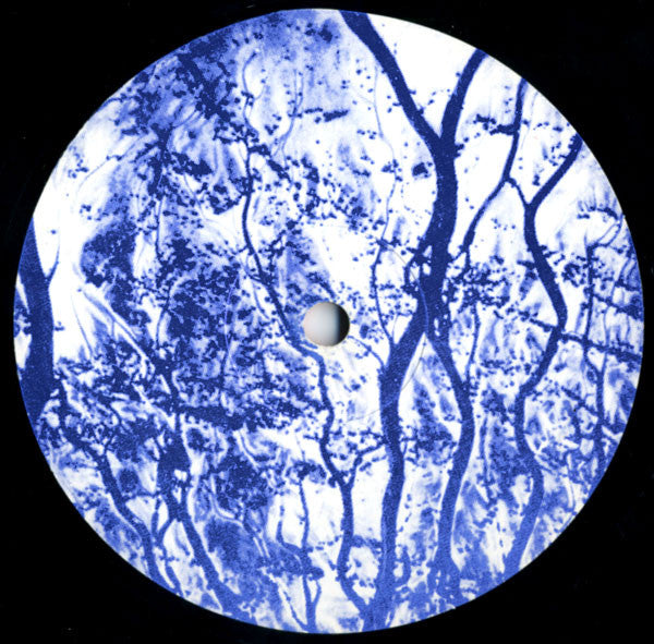 Click Click ~ I Rage I Melt (Vinyl) - Djungel & Jazz