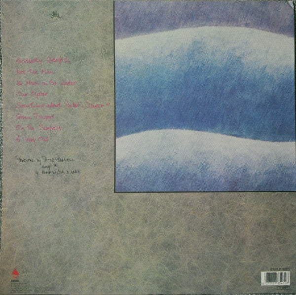 Peter Hammill ~ Out Of Water (Vinyl) - Djungel & Jazz