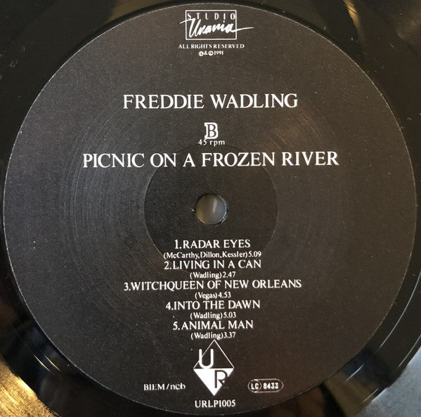 Freddie Wadling : Picnic On A Frozen River (LP, Album)