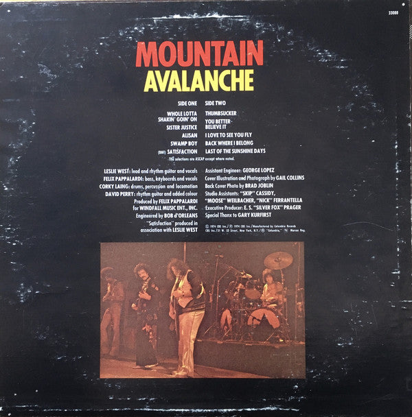 Mountain ~ Avalanche (Vinyl) - Djungel & Jazz