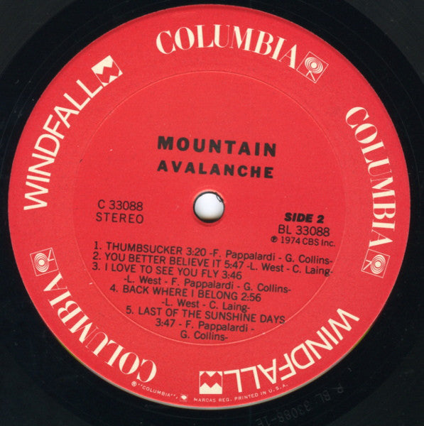 Mountain ~ Avalanche (Vinyl) - Djungel & Jazz