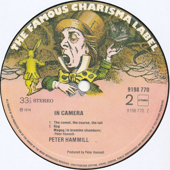 Peter Hammill ~ In Camera (Vinyl) - Djungel & Jazz