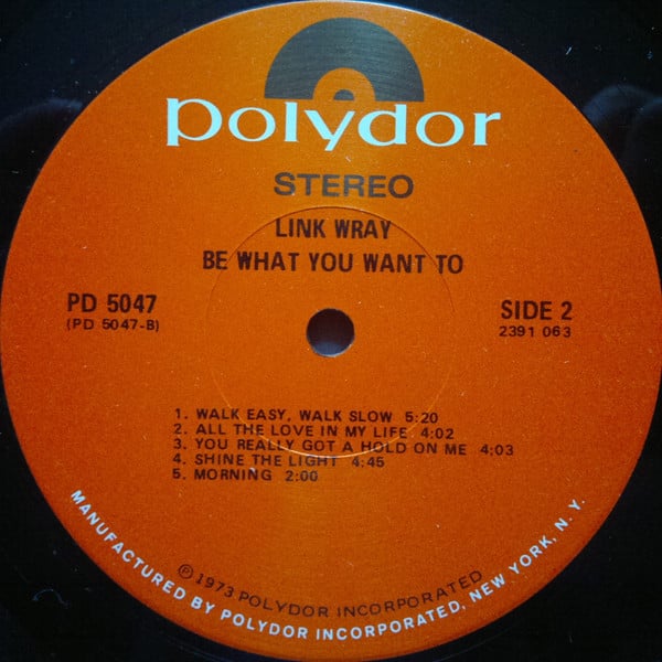 Link Wray ~ Be What You Want To (Vinyl) - Djungel & Jazz