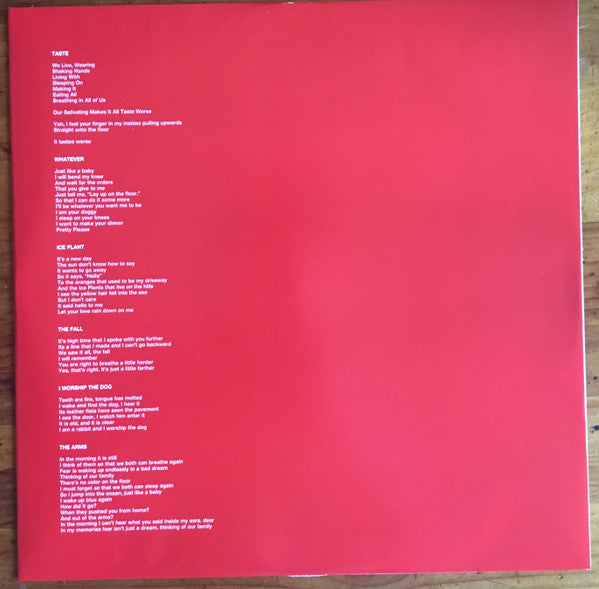 Ty Segall ~ First Taste (Vinyl) - Djungel & Jazz