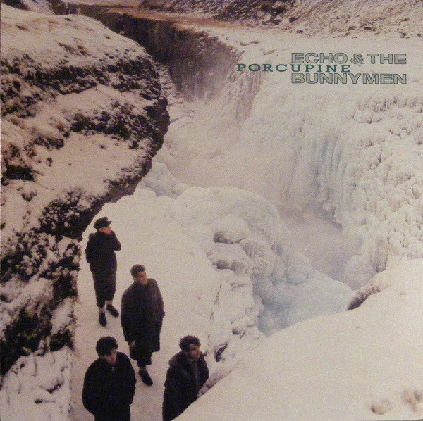 Echo & The Bunnymen ~ Porcupine (Vinyl) - Djungel & Jazz