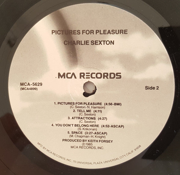 Charlie Sexton ~ Pictures For Pleasure (Vinyl) - Djungel & Jazz