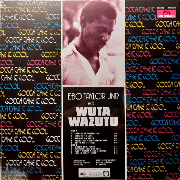 Ebo Taylor Jnr With Wuta Wazutu ~ Gotta Take It Cool (Vinyl) - Djungel & Jazz