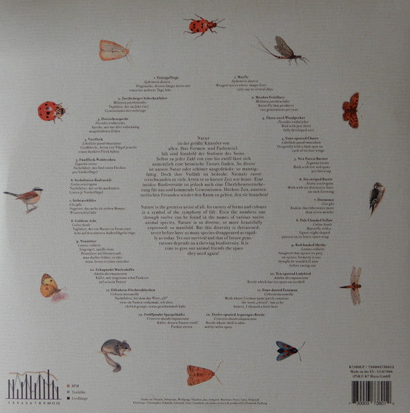 Dominik Eulberg ~ Mannigfaltig (Vinyl) - Djungel & Jazz