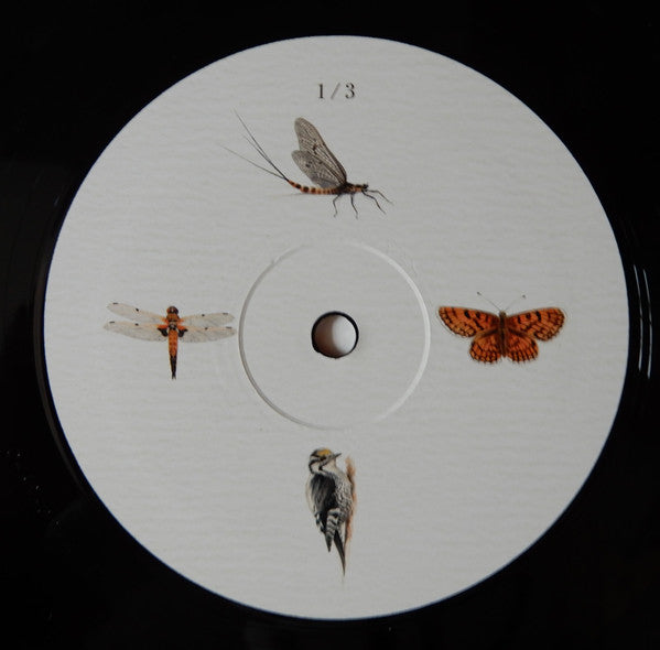 Dominik Eulberg ~ Mannigfaltig (Vinyl) - Djungel & Jazz