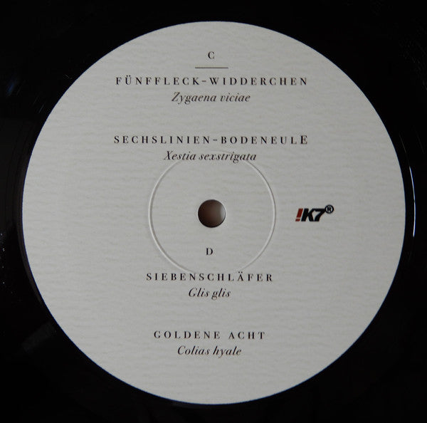 Dominik Eulberg ~ Mannigfaltig (Vinyl) - Djungel & Jazz