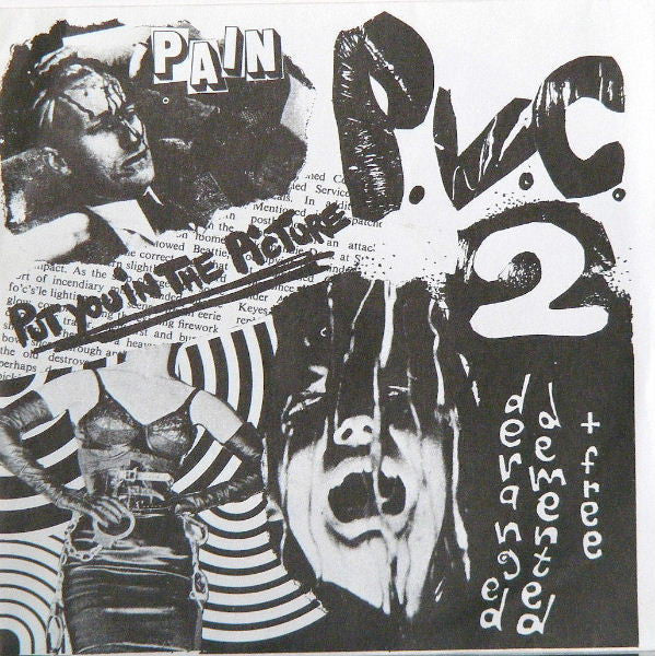 PVC2 : Put You In The Picture (7")