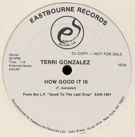 Terri Gonzalez : How Good It Is (12", Promo)