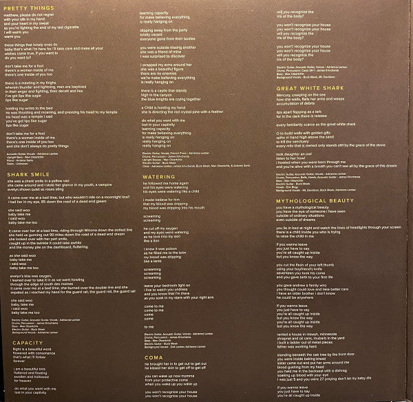 Big Thief : Capacity (LP, Album)