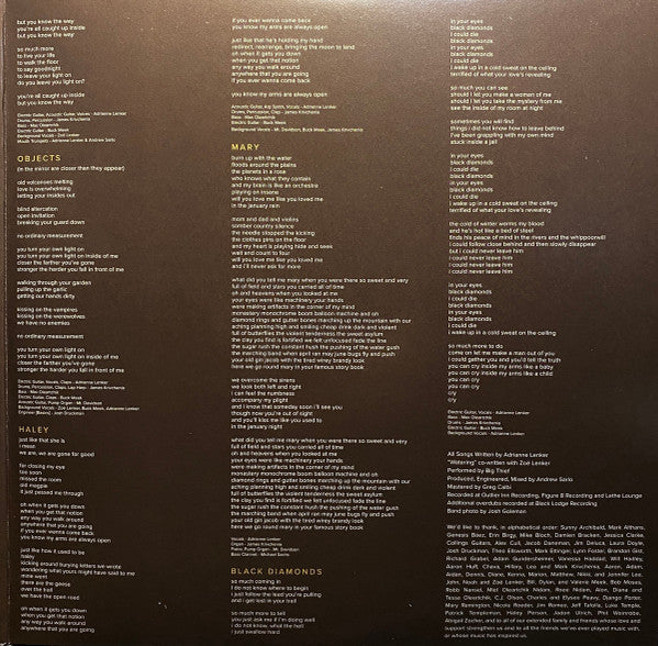 Big Thief : Capacity (LP, Album)