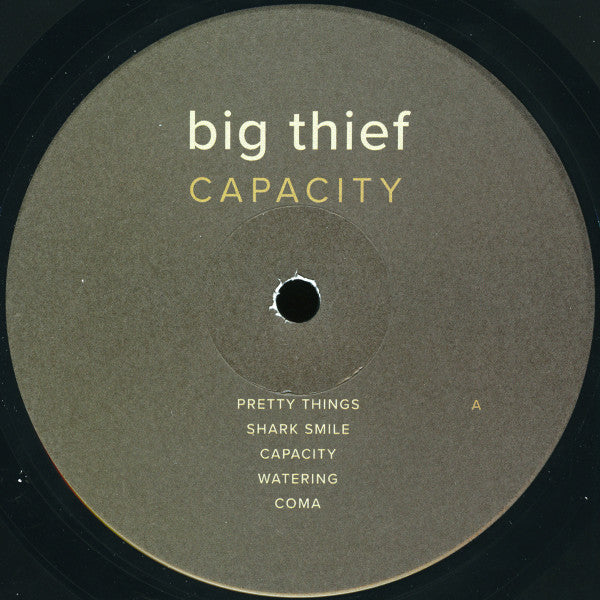 Big Thief : Capacity (LP, Album)
