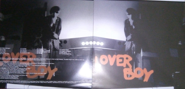 Ariel Pink's Haunted Graffiti : Loverboy (2xLP, RE)